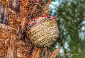 WhatsApp Image 2023-12-13 at 1.14.20 PM (6)